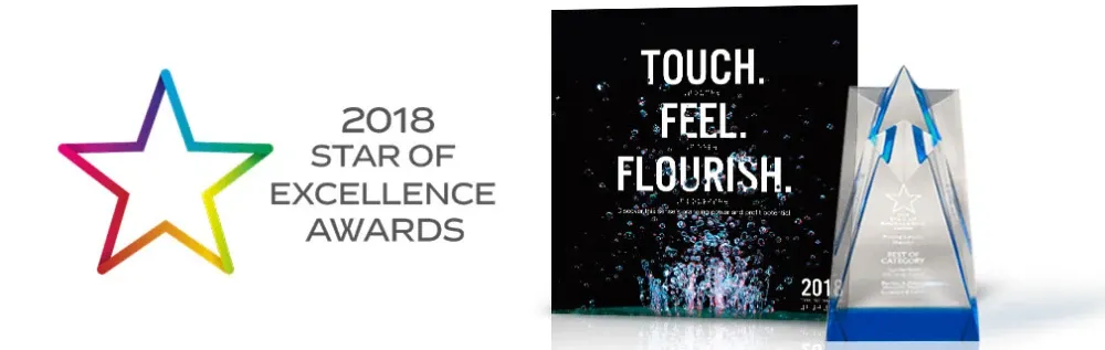 2018 Star of Excellence